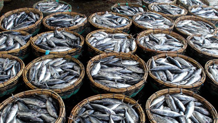 lernmedium Allmendegüter