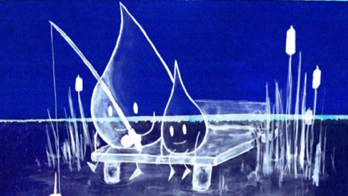 Bild Lernmedium Wasser