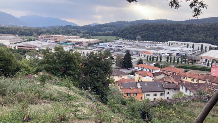 La lampreda del Laveggio